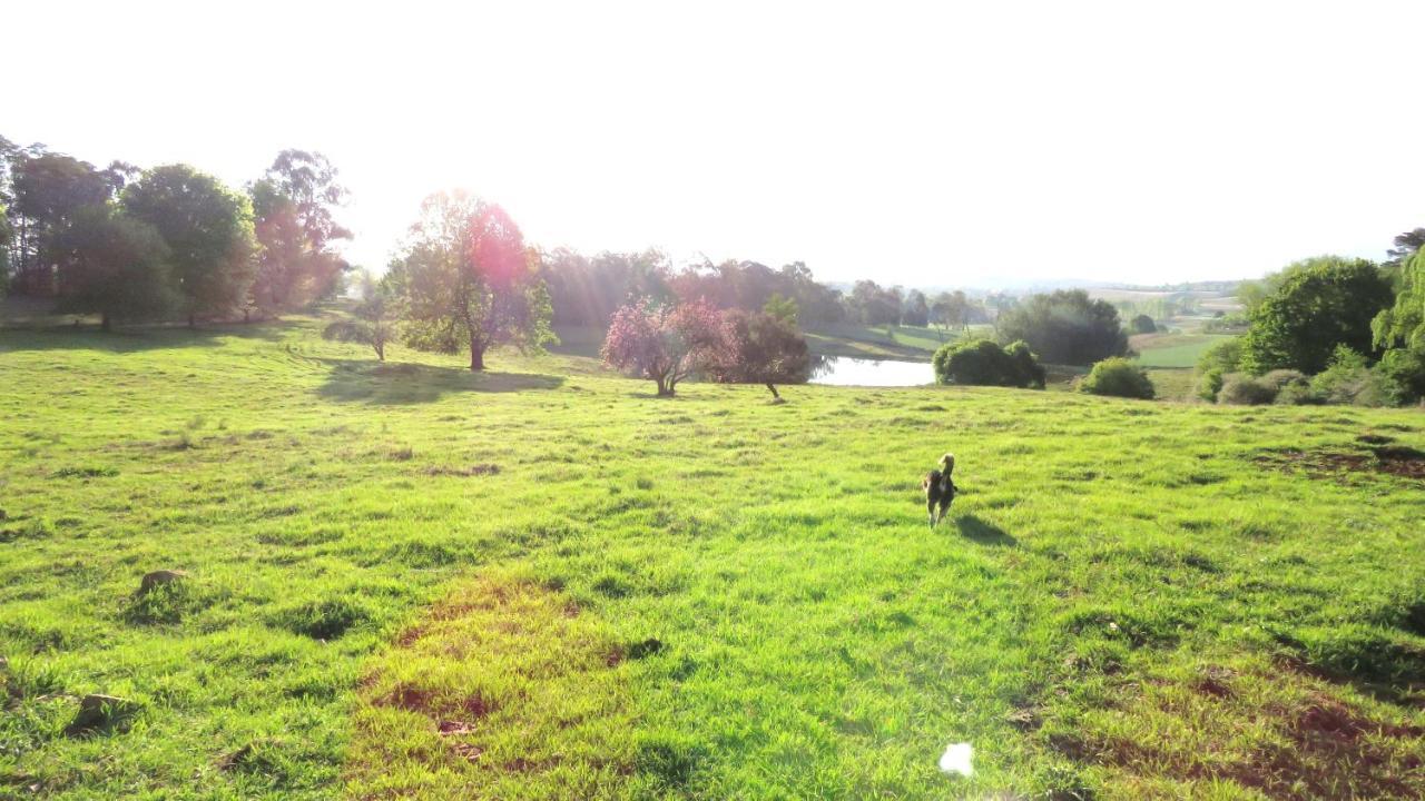 Old Inchgarth Farmstay Himeville Εξωτερικό φωτογραφία